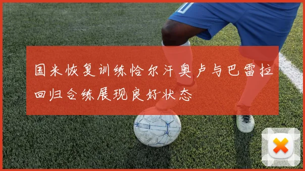 国米恢复训练恰尔汗奥卢与巴雷拉回归合练展现良好状态